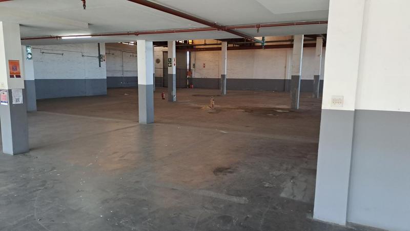 To Let commercial Property for Rent in Ferguson Eastern Cape